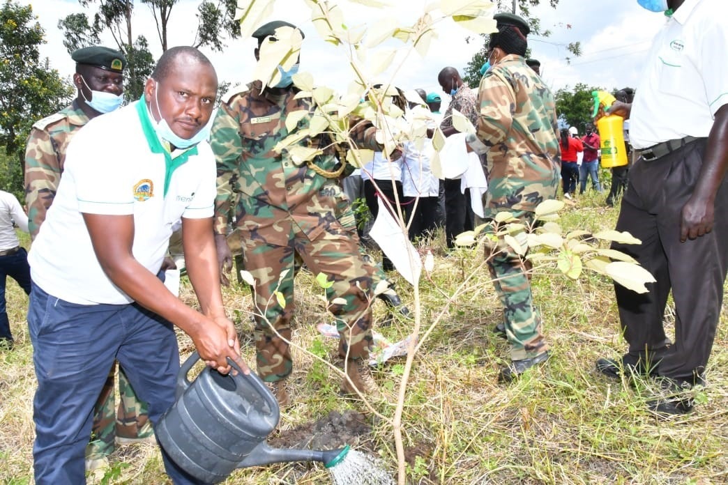 NETFUND Pledges Support to raise 40 Million Tree Seedlings for Kisumu County by 2022