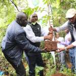 NETFUND Spearheads Restoration of the Gitwe Wetlands, Kibiko Forest